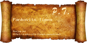 Pankovits Tímea névjegykártya
